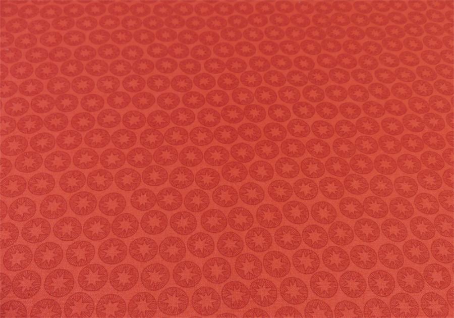 Lewis Irene Patchworkstoff winterlich floral Sterne rot